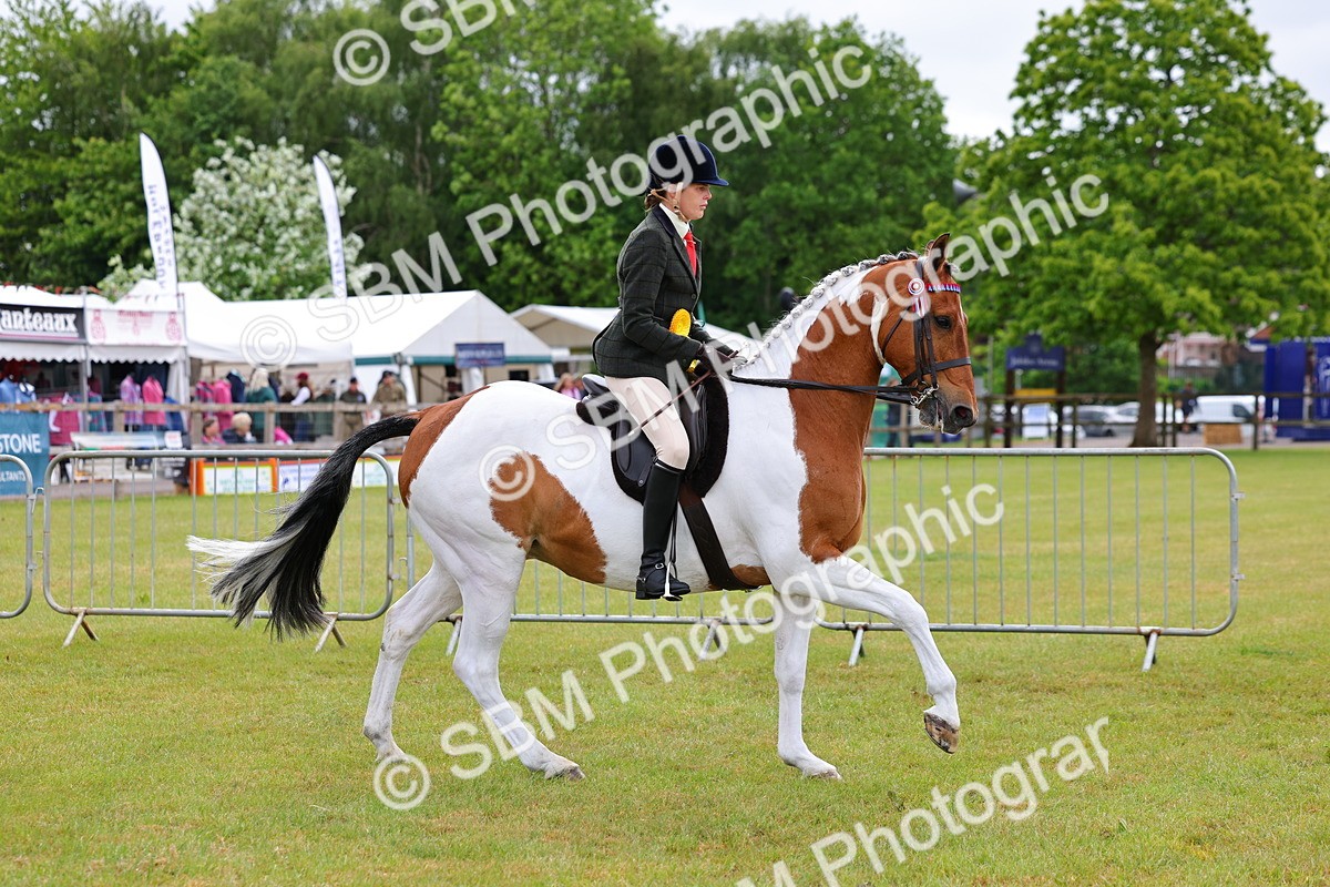 SBM_02572 - Class 9-11 Side Saddle including LIHS Rising Star Ladies Show Horse