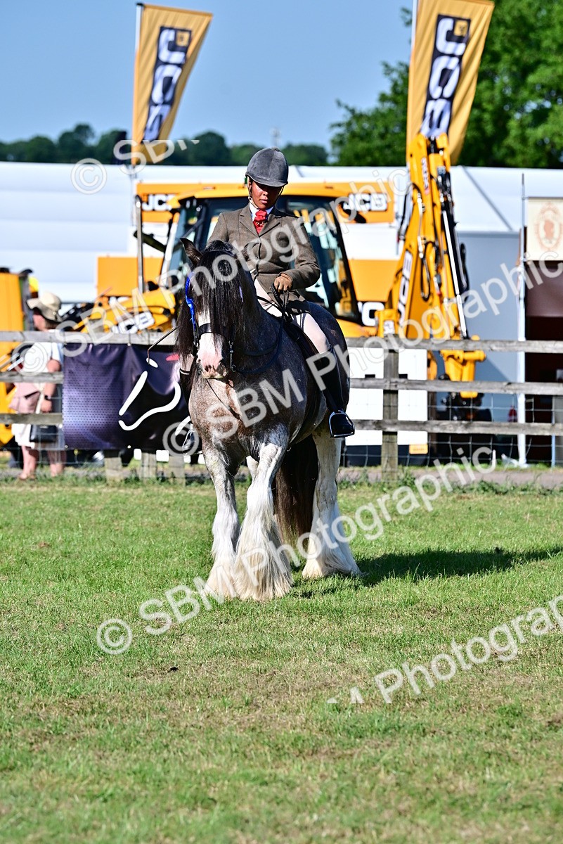 SBM_19570 - Class 101-102 - BSPS LIHS Performance Coloured Horse/Pony