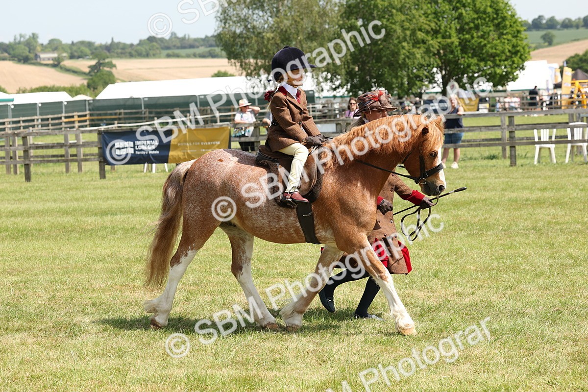 SBM_05270 - Class 24-25 - Mountain & Moorland In Hand Lead Rein and First Ridden