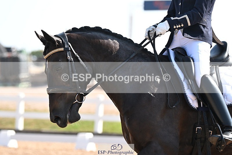 250816-103914-03436 - 074-Jessica.AllenHendrewen.Desert.Lady