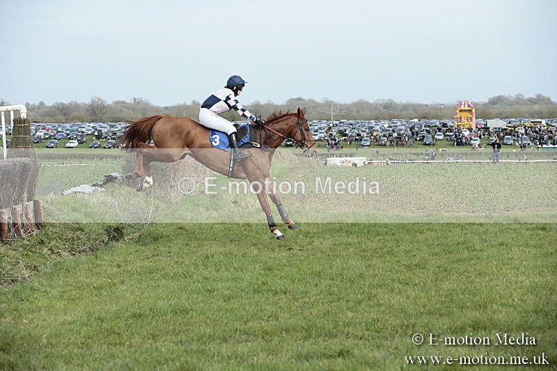 PtP 230319 354 - VWH Hunt Siddington Point-to-Point Racing 23/03/19