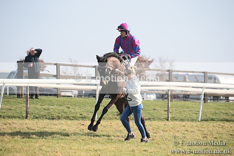 PtP 230219 7 - Vine & Craven Point-To-Point - Barbury 23/02/19