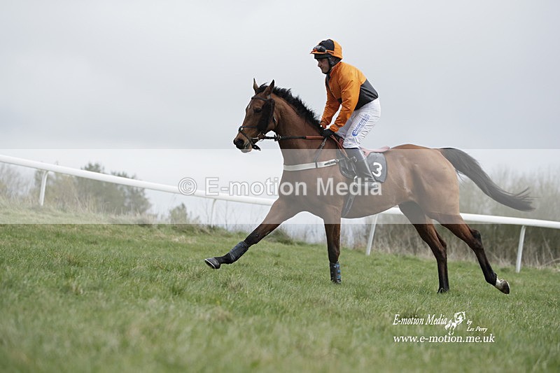 PtP 260323 0664 - New Forest Hounds Point-to-Point Larkhill 26/03/23