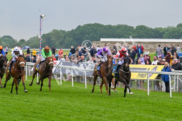 150524-Race 2-Aleezdancer-3820 - Race 2 2.45pm Churchill Tyres Handicap