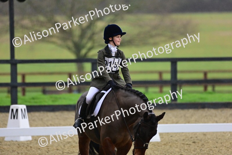 20260125-0628 - Class 9b - Walk Trot Unassisted