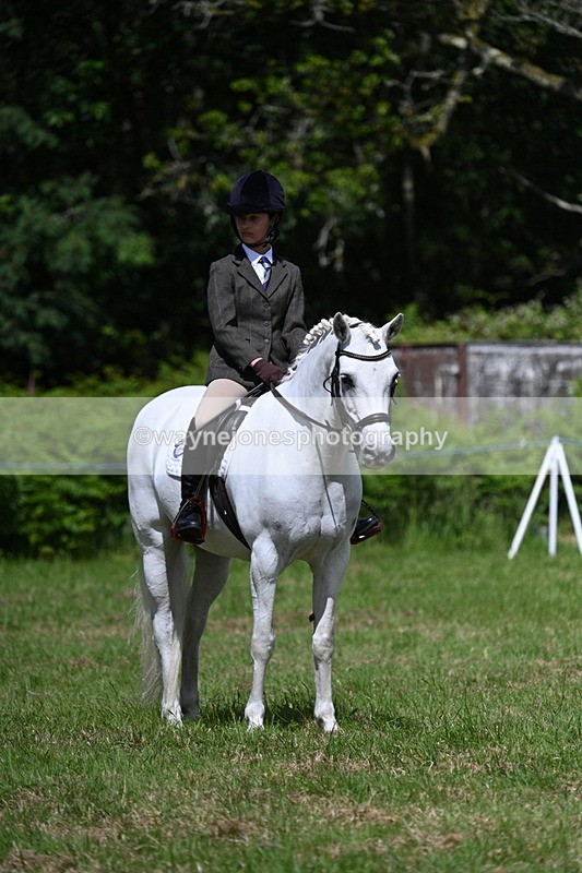WJ7_1762 - Class 9 Pony Club Pony