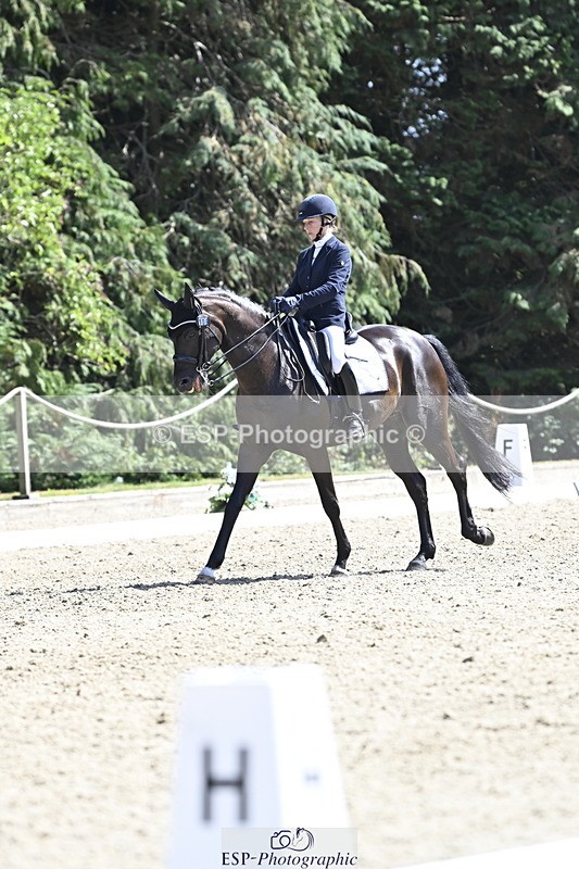 250810A-151151-07970 - 106-Lynn.WickesFurstino