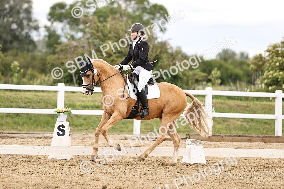 SBM_002093 - Class 2 - Novice 4 - 10.36-11.39