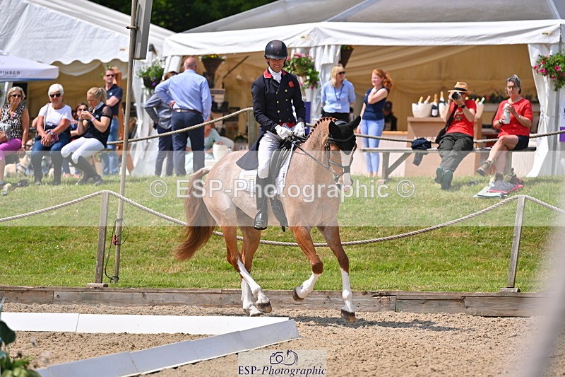 250523A-122208-06835 - C-282-Harry.Meade-NASHVILLE