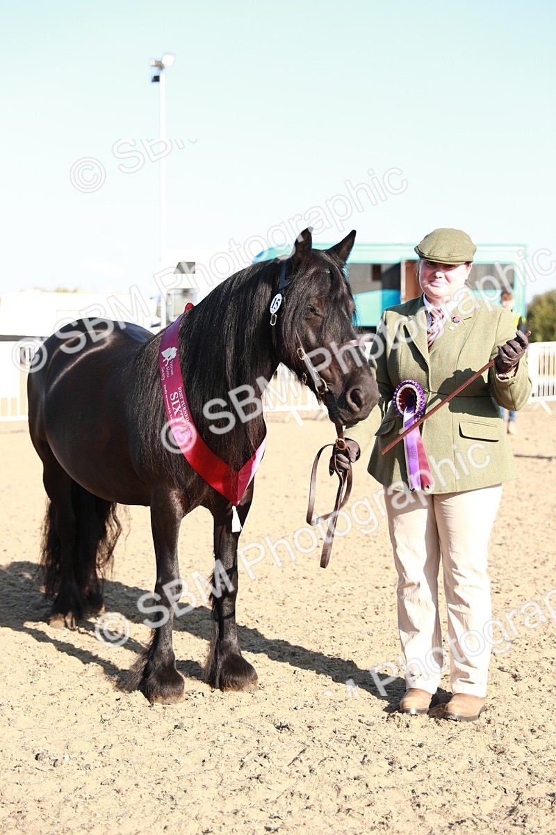 SBM_00141 - Class 40 Best Turned Out IH