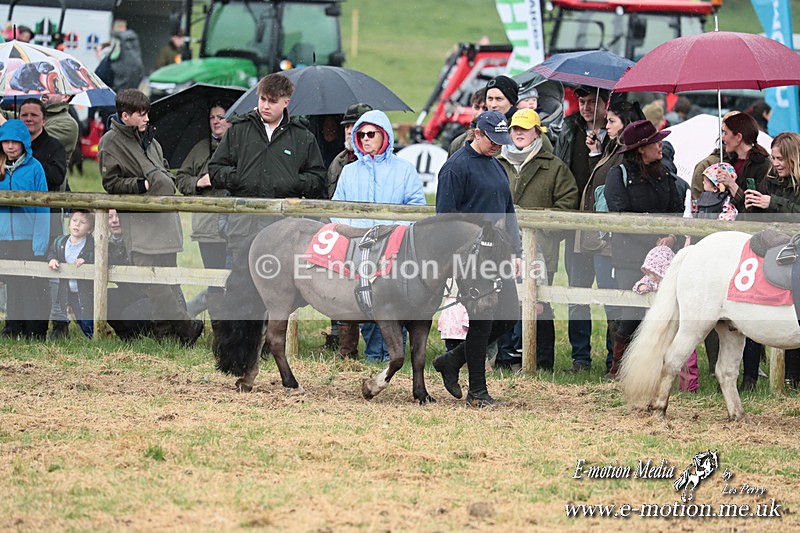 SHETPR 210425 49 - Shetland Ponies Paxford Races 21/04/25