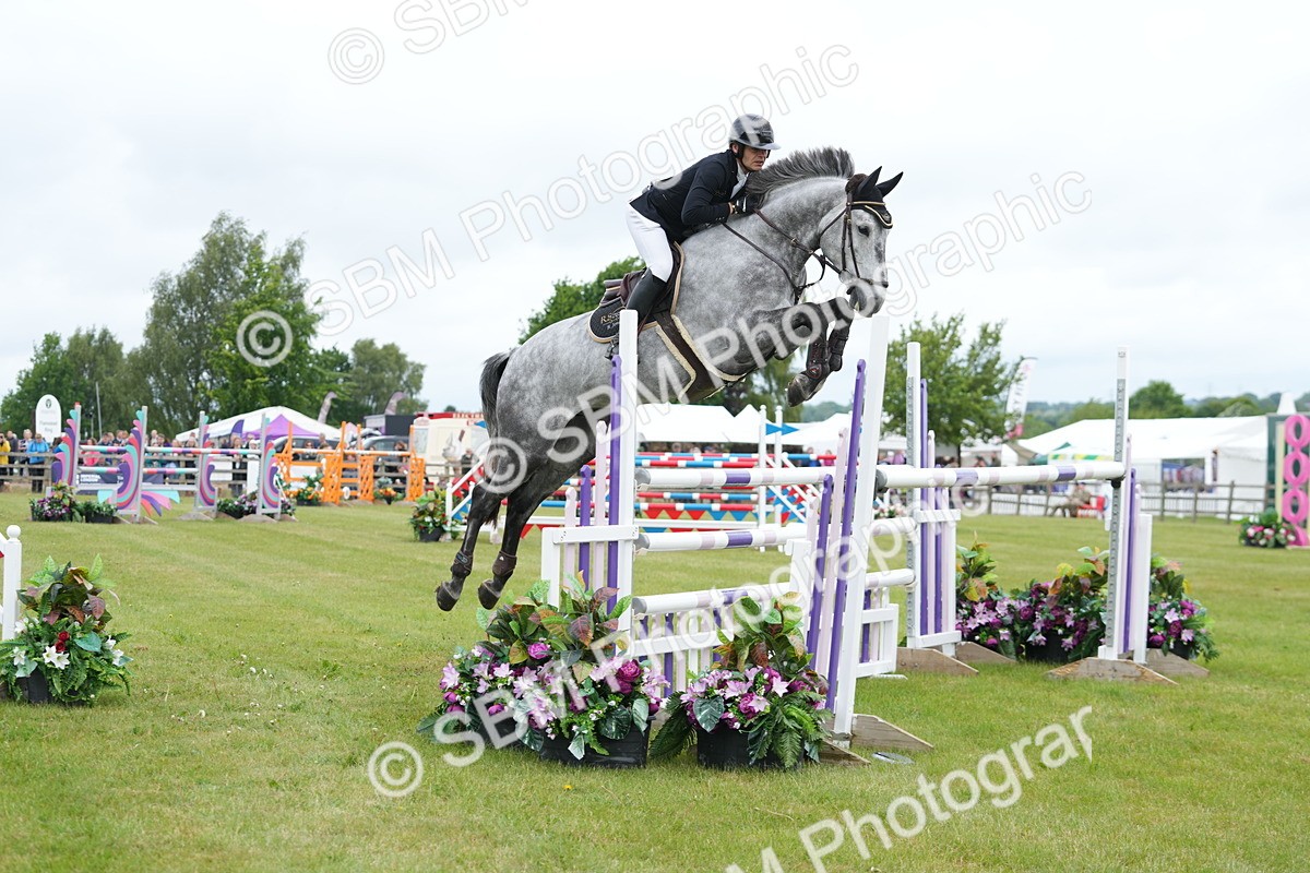 SBM_03115 - Class 201 - British Horse Feeds Speedi Beet Horse of the Year Show Grade  C