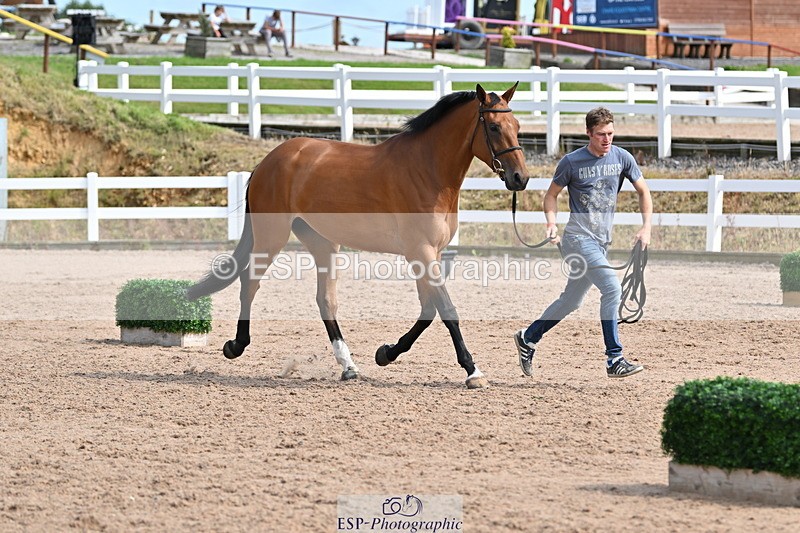 240717A-161439-03369 - Trot Up 4pm to 5pm