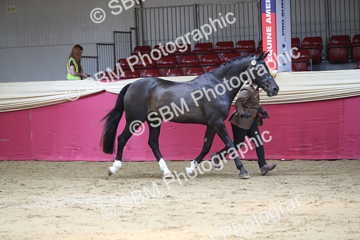 SBM_04393 - Class 7R Regional - IH Diamond