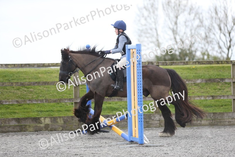 20260412-0587 - Show Jumping