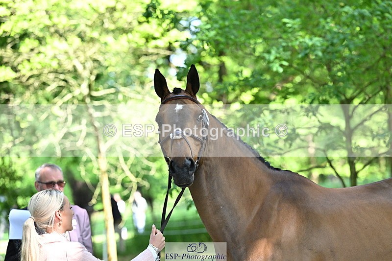 250521A-154612-00747 - B-364-Yasmin.Ingham-KINDA.CORVETTE