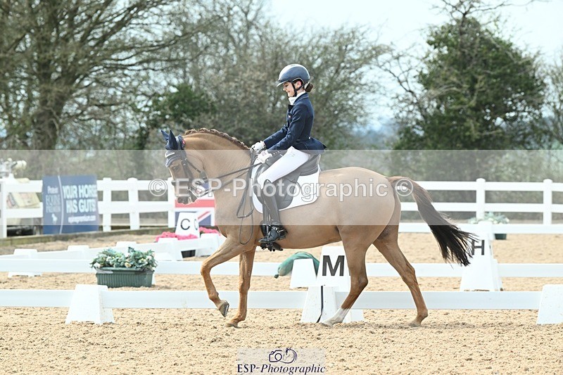 250403-123735-02387 - 061-Violet.Hawkins-DZL.Royal.Sunrise