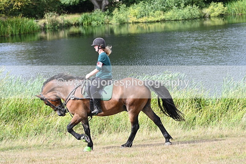 WJ7_4919 - Time 11:17 to 11:22