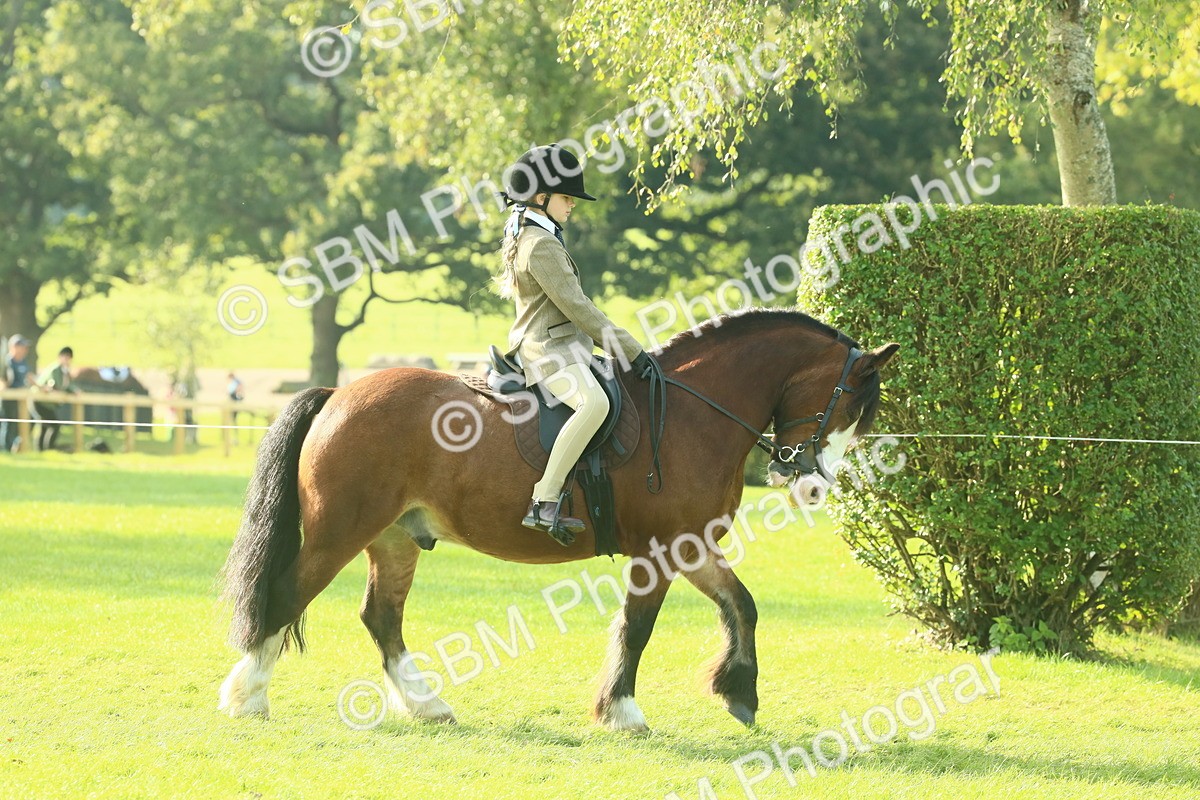 SBM_59294 - S38 - Starters Ridden Showing