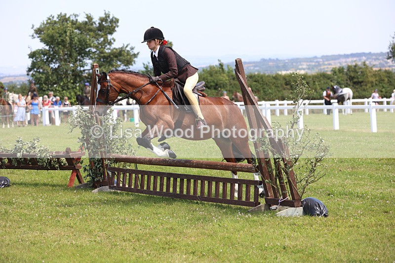 JPP_2626 - Class 21: Working Hunter 60cm