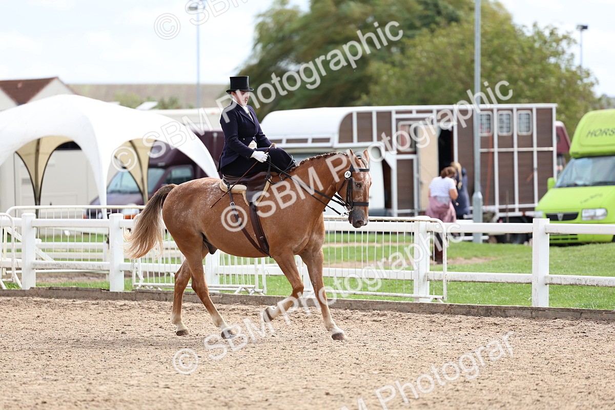 SBM_03353 - Class 23 - SSA Classical (any age)