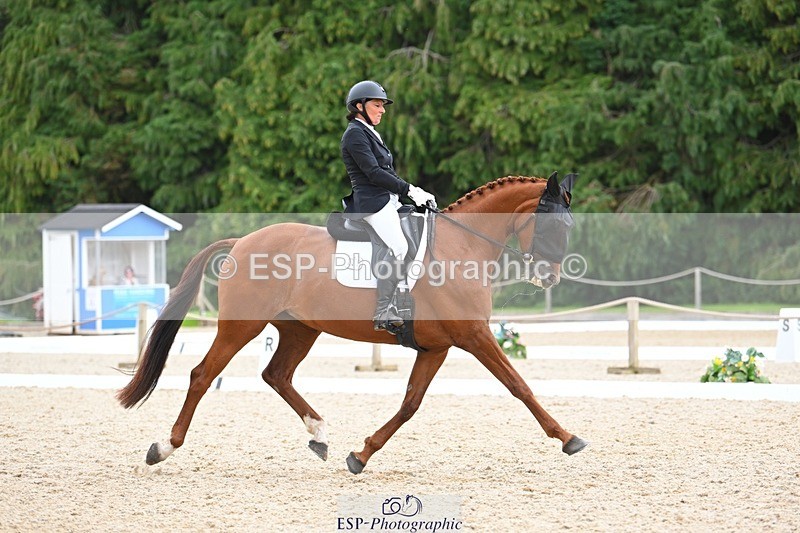 230813-143013-07777 - Cls 13 Medium Bronze 13.15 to End