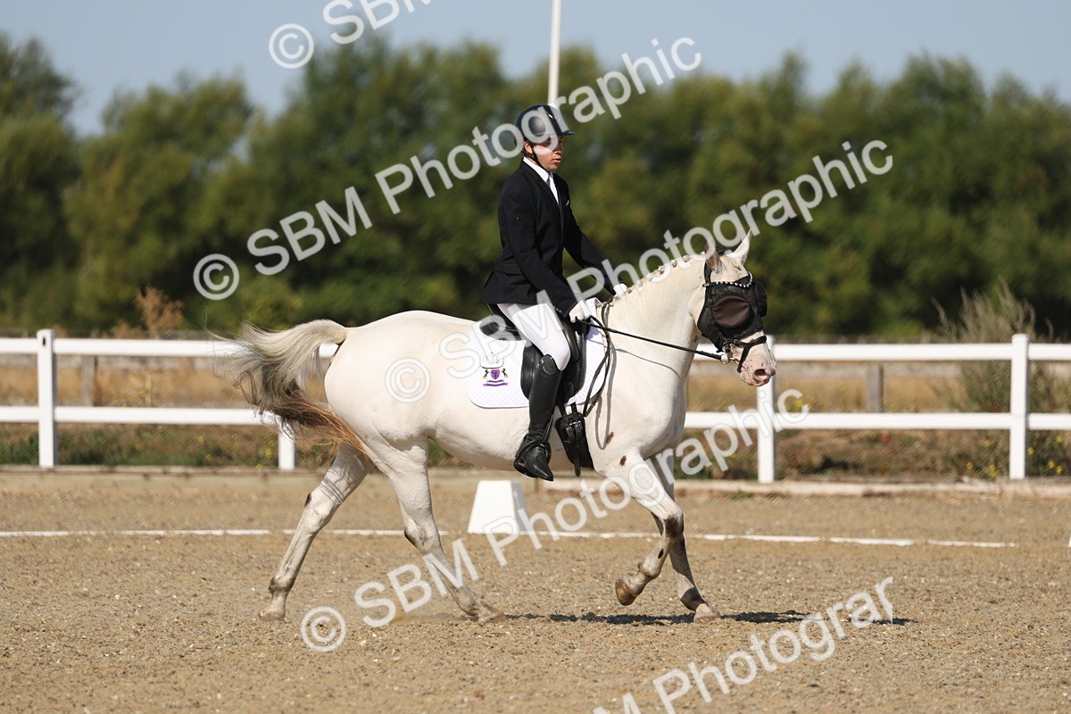 SBM_012815 - Class 1 - P5 Bronze 9.00.10.12