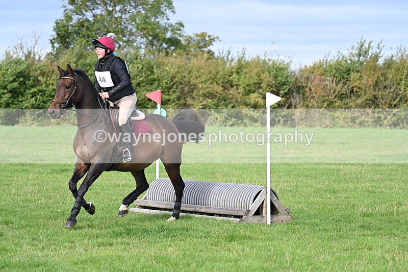 WJ7_8285 - 60cm Pairs