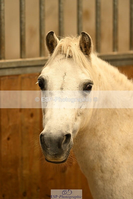 240809A-084632-00006 - Stable Shots