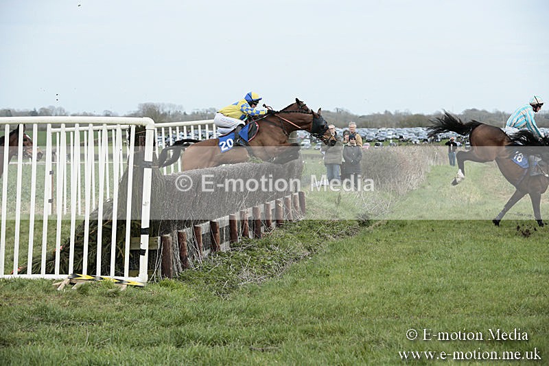 PtP 230319 181 - VWH Hunt Siddington Point-to-Point Racing 23/03/19