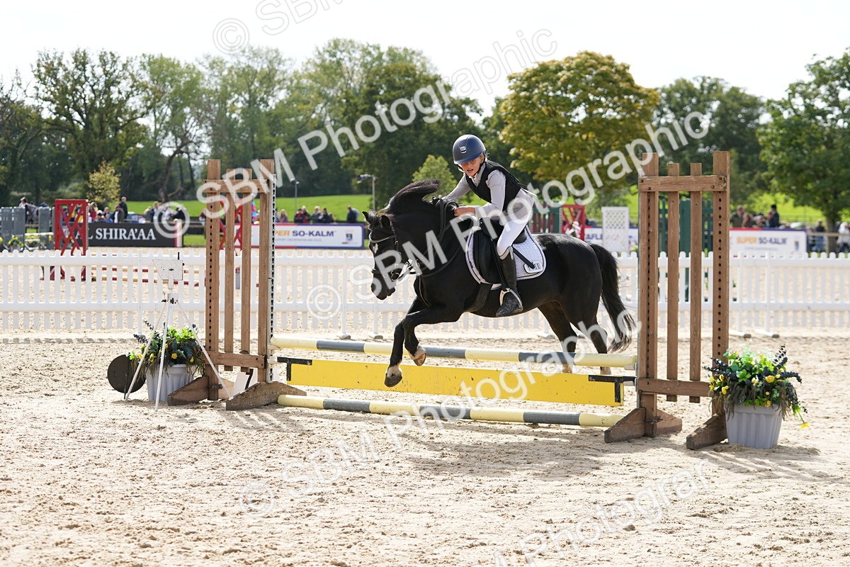 SBM_40766 - Supreme Championship Pony 50-55cm