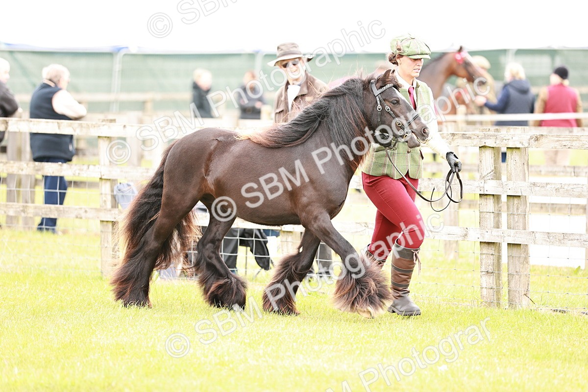 SBM_05964 - Class 39-41 TGCA In Hand and Ridden
