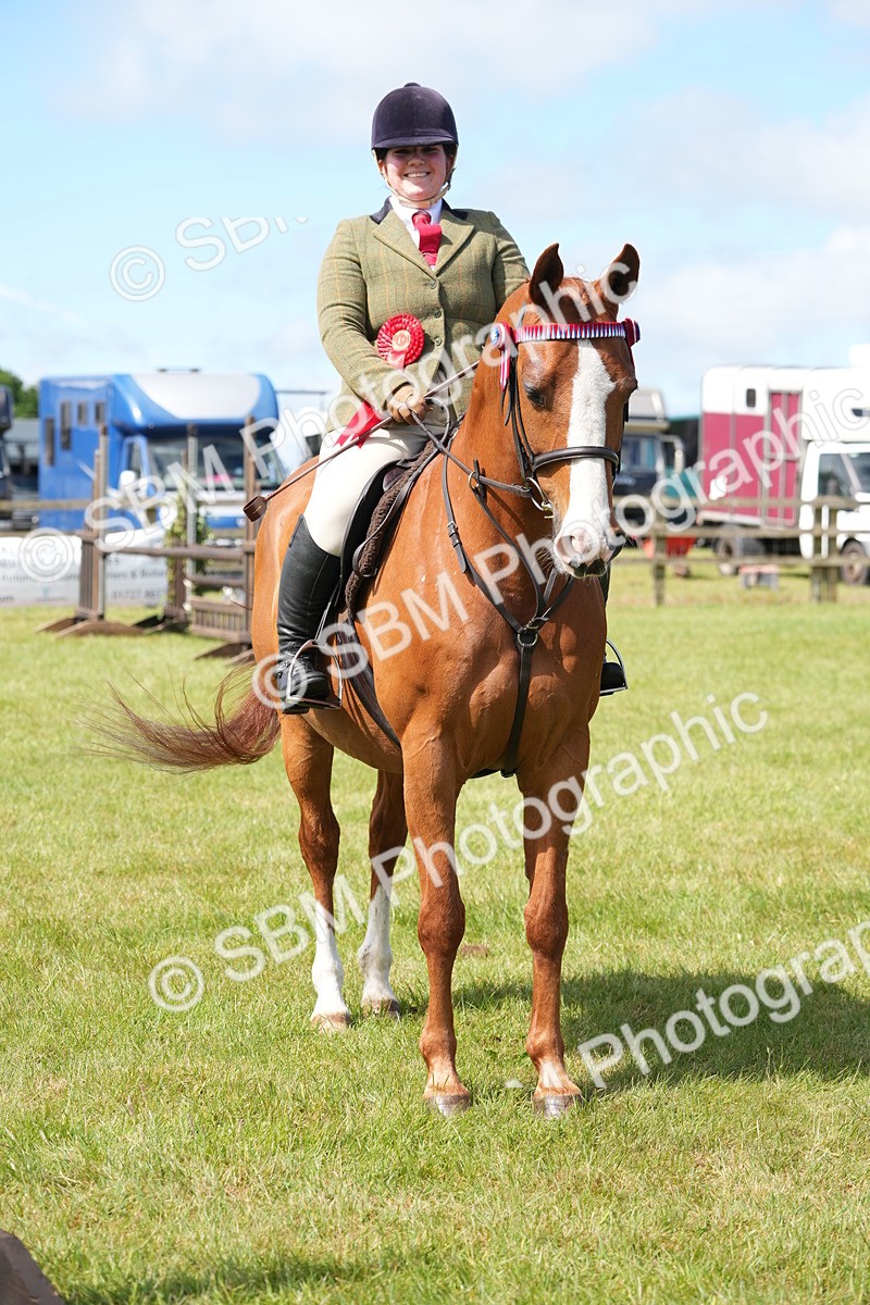 SBM_12971 - Class 99 - RIHS SEIB Working Show Horse