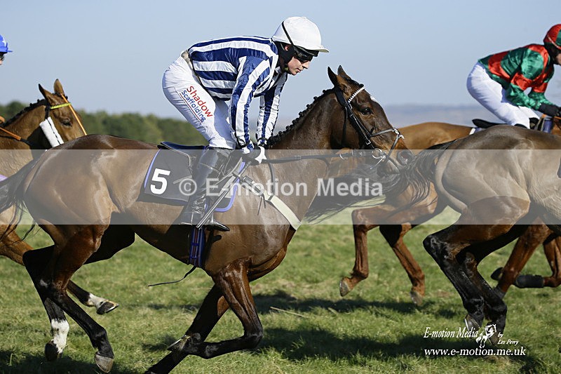PtP 270222 68 - South & West Wilts Point-to-Point Larkhill 27/02/22