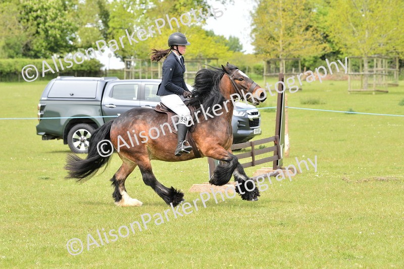 20260426-2459 - Class 21 - Working Hunter Ponies