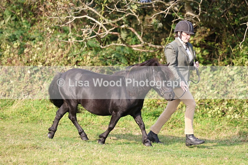 3E7A3187 - Class 12: M & M Small Breeds