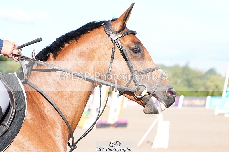 250802-091230-08263 - Cls 19 British Novice and 90cm Open