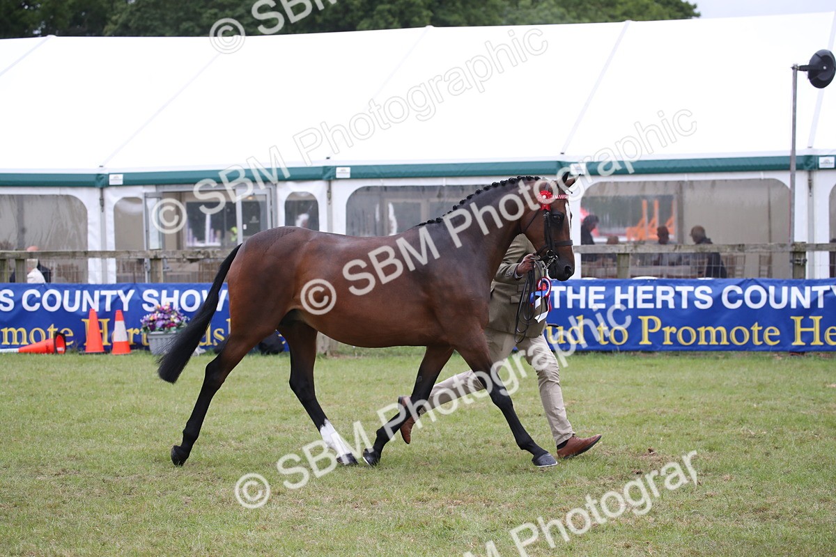 SBM_09843 - Ch 50 - Price Family Supreme In Hand