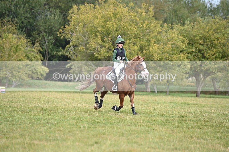 WJ6_1668 - 60cm XC Time 13:22 to 13:53