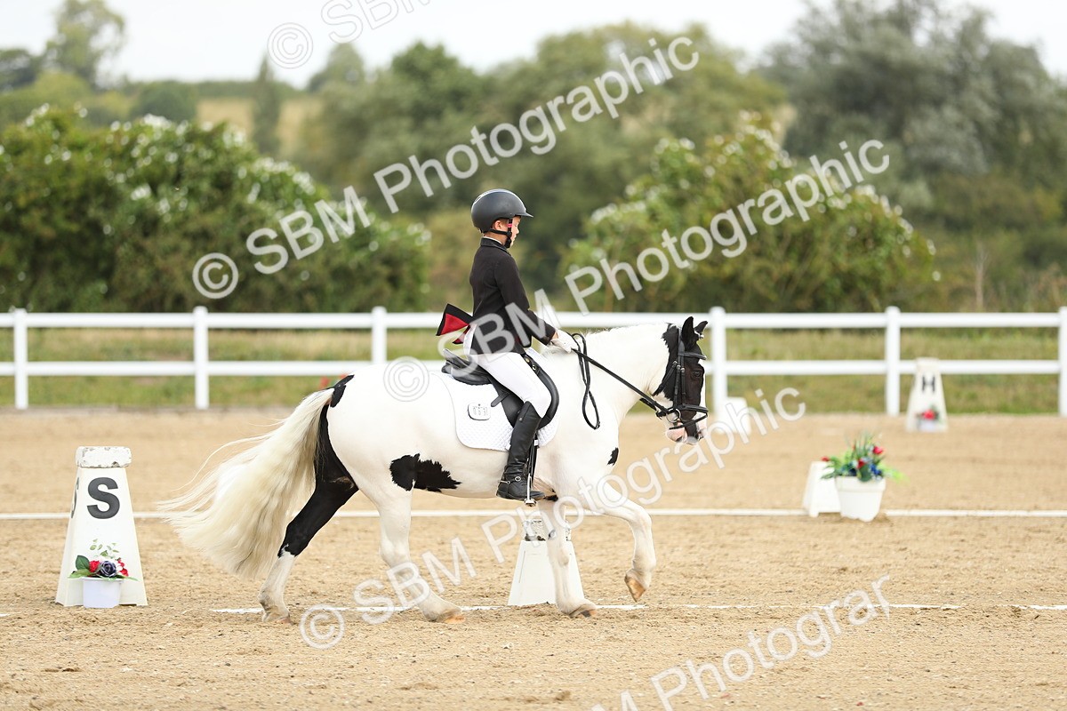 SBM_016348 - Class 13 - Novice 23 - 11.25-12.35