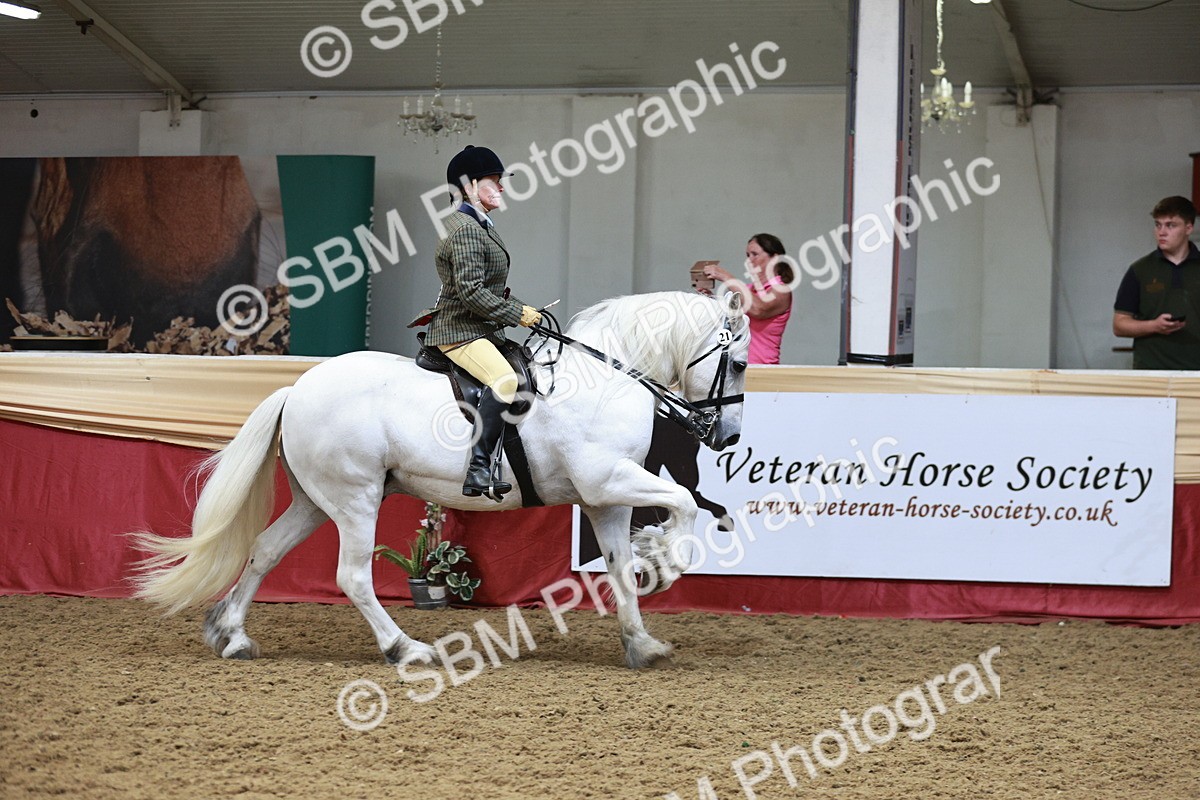 SBM_08663 - Regional Ridden Champ