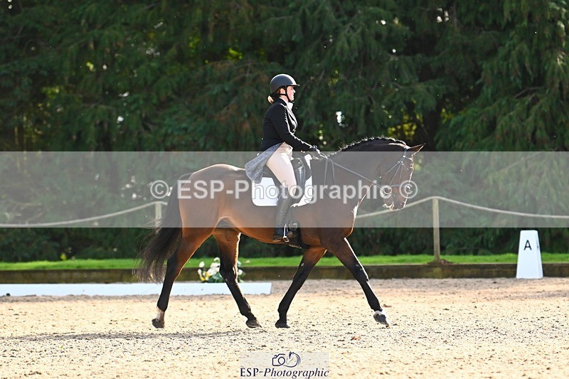 231021-142524-18708 - 253-GEKO-Odette.Orlande-DR