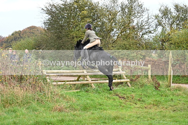 WJ7_0381 - Camera 1 & Last fence