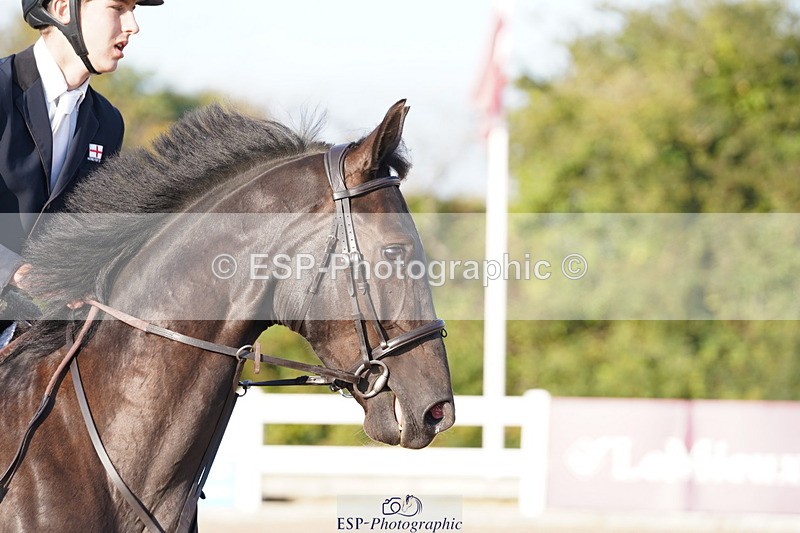 240915A-085830-08520 - Cls 31 Snr British Novice and 90cm Open