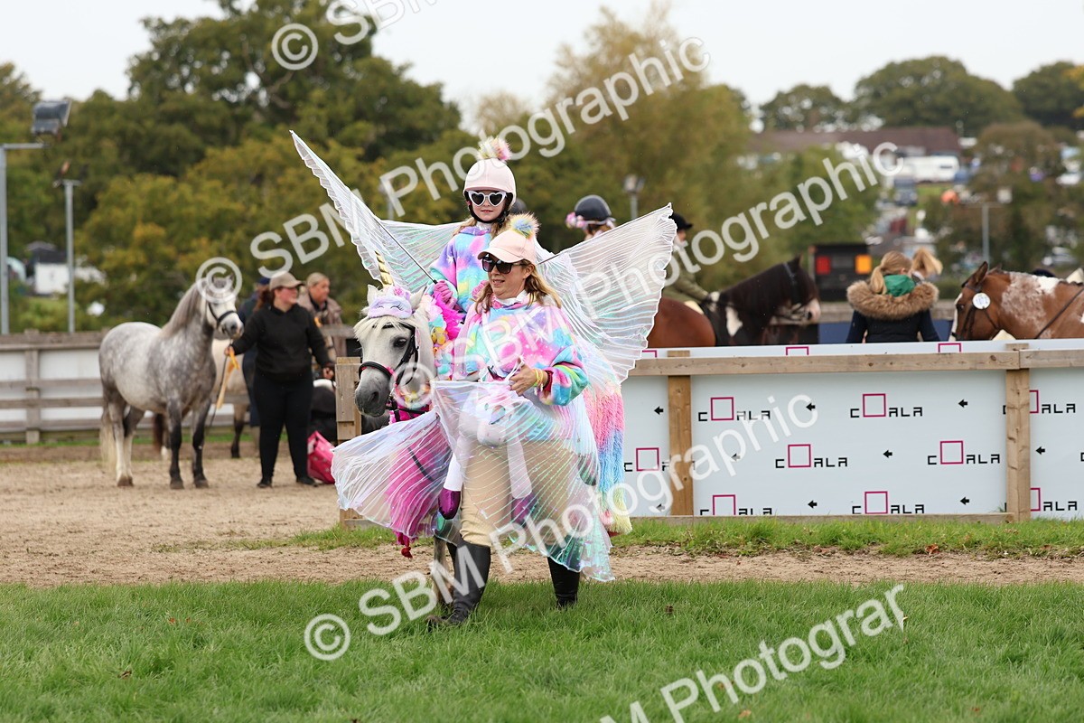 SBM_62159 - S37b - Best Unicorn