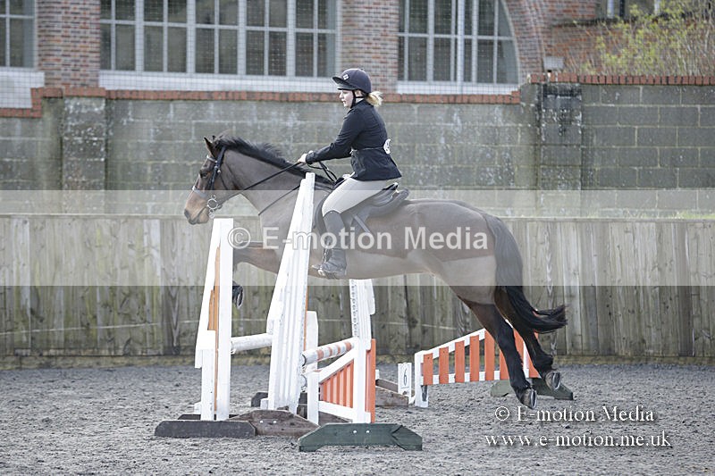 BVRC 050320 0063 - Bourne Valley riding Club Show Jumping Tidworth 08/03/20