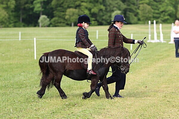 IMG_2246 - Working Hunter