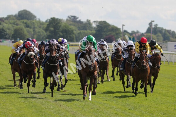 yr11062021r3-18 - Race 3 2.55pm SKF Rous Selling Stakes