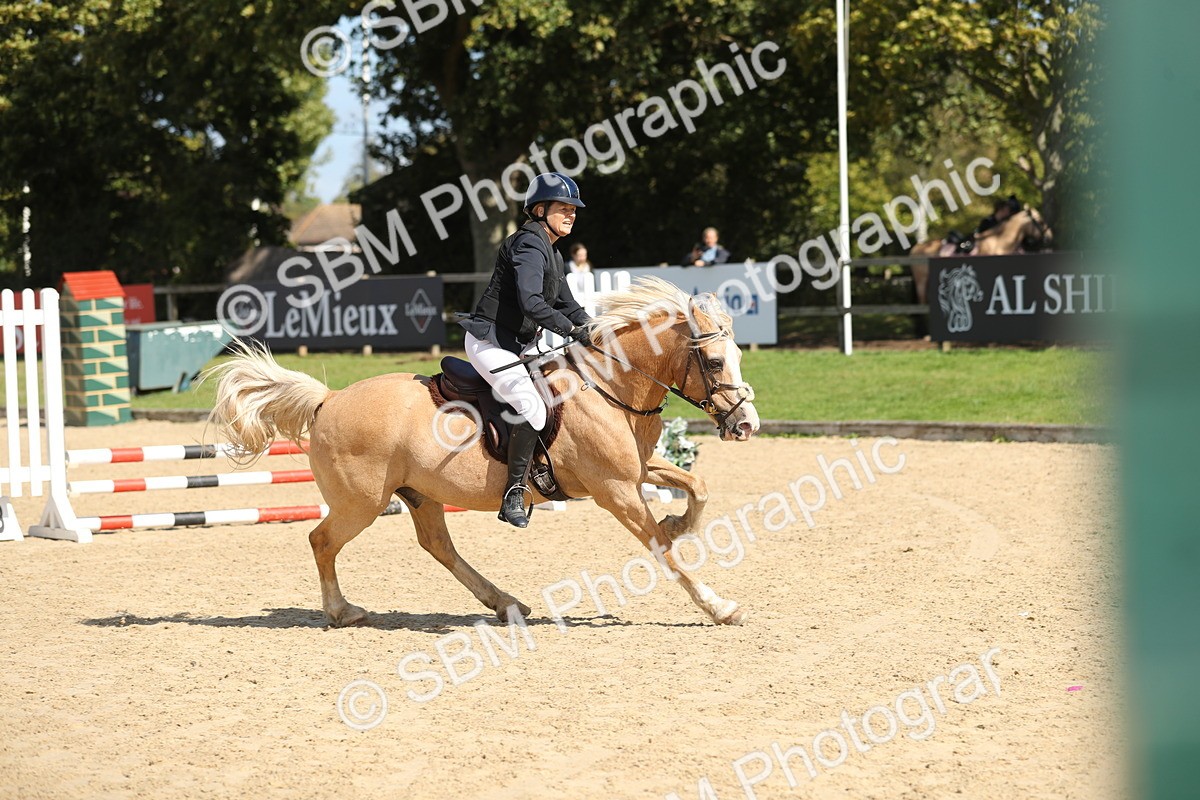 SBM_05608 - J35 - Veteran Rider 60cm