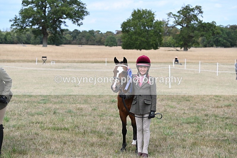 WJ6_6287 - Class 19 In-hand Veterans (Uploaded correct folder)